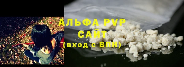 прущие грибы Михайловка