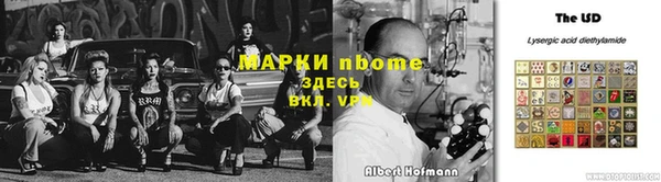 прущие грибы Михайловка
