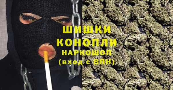 прущие грибы Михайловка