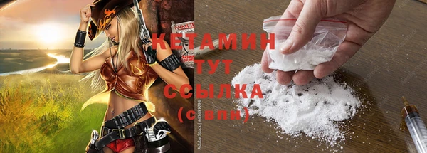 прущие грибы Михайловка