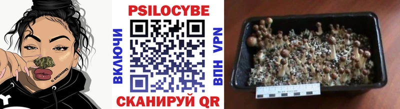 Псилоцибиновые грибы мухоморы  дарнет шоп  Печоры 